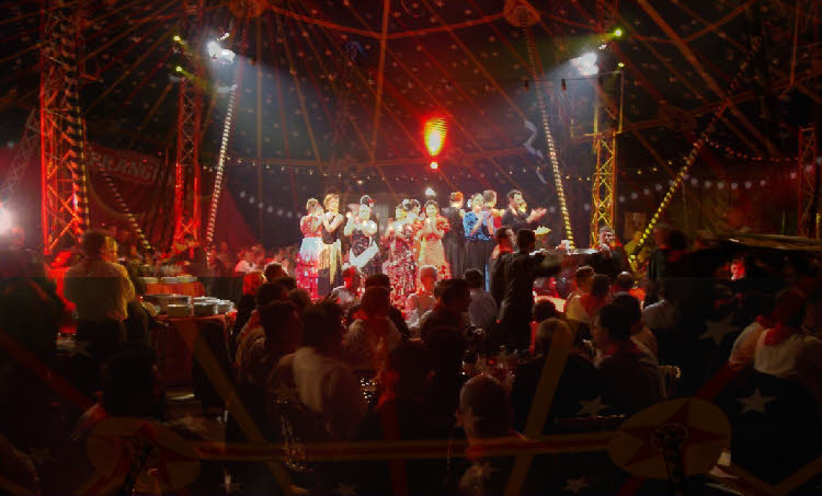 spectacle pour ce comité d'entreprise collectivité association cirque